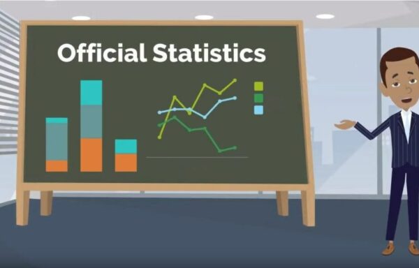 What are not official statistics UNITARUNSD